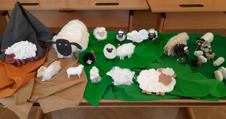 Schafe fürErstkommunion