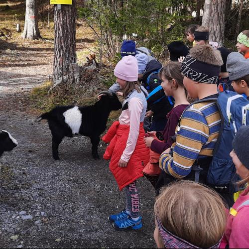 Tiere und Kinder