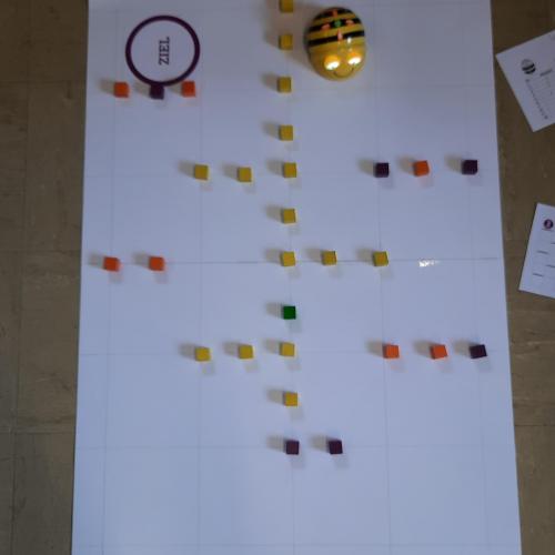 Kinder beim BeeBot Programmieren