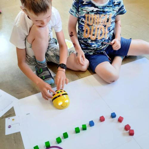 Kinder beim BeeBot Programmieren