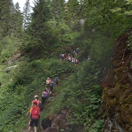 Schutzwald Märchen Tag