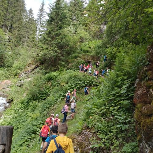 Schutzwald Märchen Tag