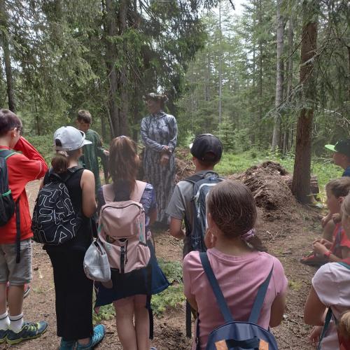 Schutzwald Märchen Tag