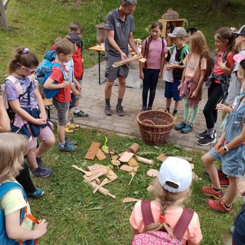 Schutzwald Märchen Tag