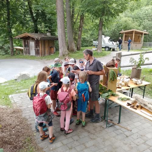 Schutzwald Märchen Tag