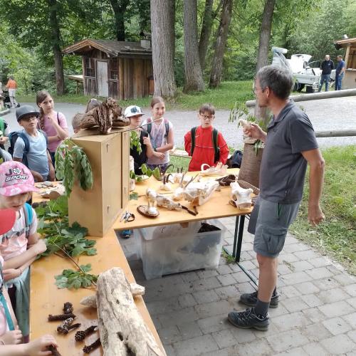 Schutzwald Märchen Tag