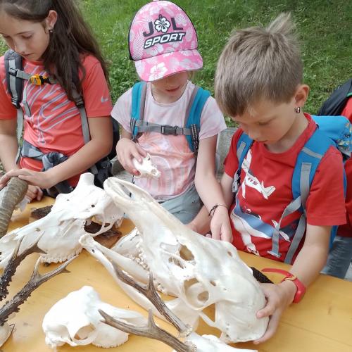 Schutzwald Märchen Tag
