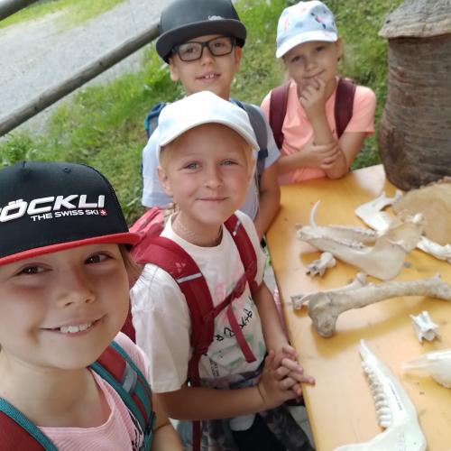 Schutzwald Märchen Tag