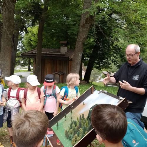 Schutzwald Märchen Tag