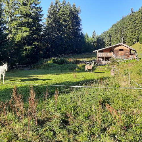 Wandertag24