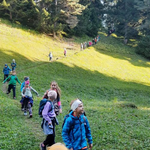 Wandertag24