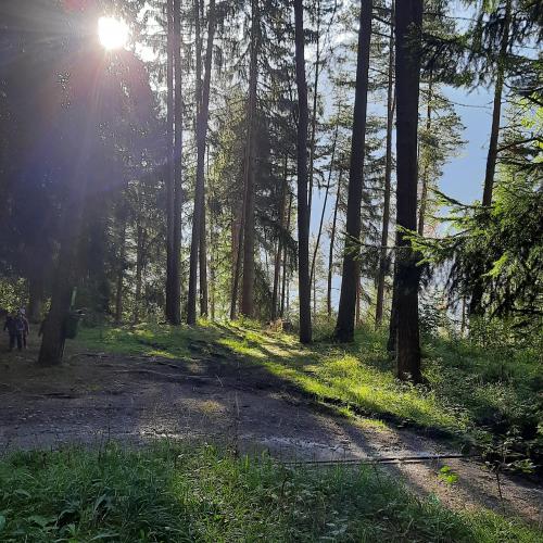 Wandertag24
