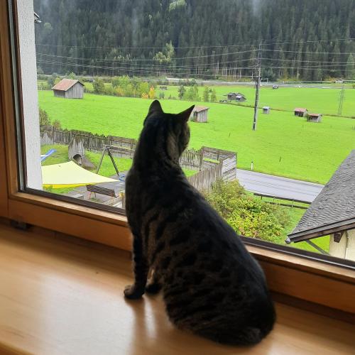 Welttierschutztag