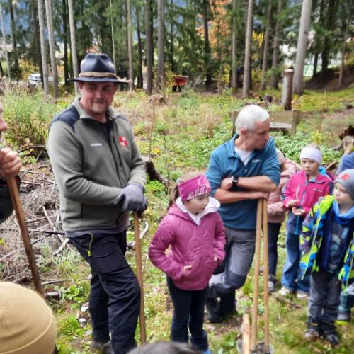 Bäume setzen