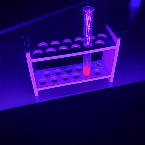 Besuch im MINT Lab