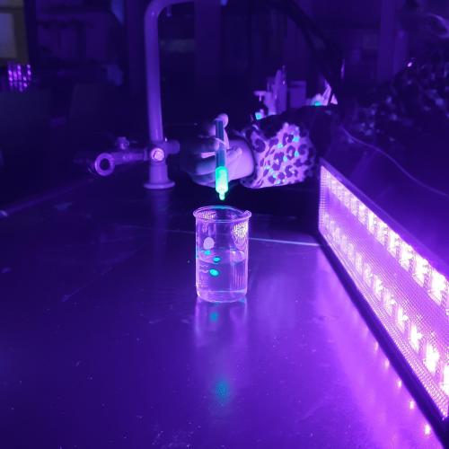 Besuch im MINT Lab
