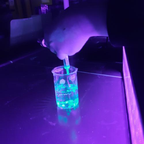 Besuch im MINT Lab