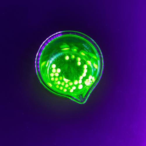 Besuch im MINT Lab
