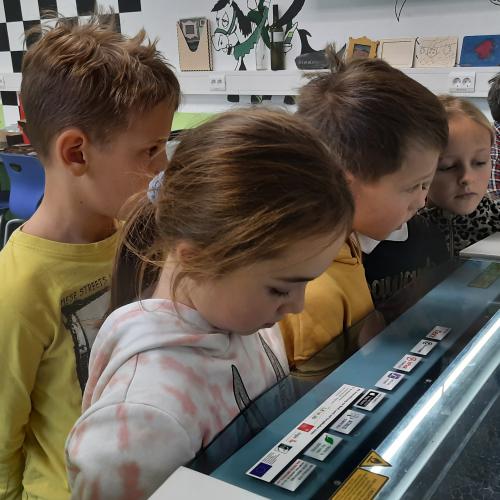 Besuch im MINT Lab