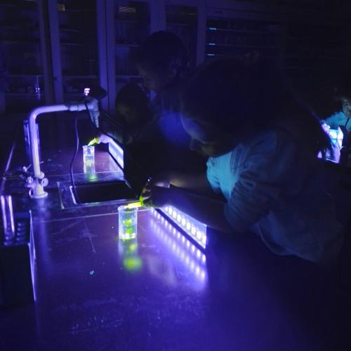 Besuch im MINT Lab