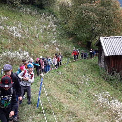 Kinder beim Wandertag Herbst 2025