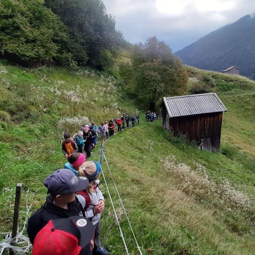 Kinder beim Wandertag Herbst 2025