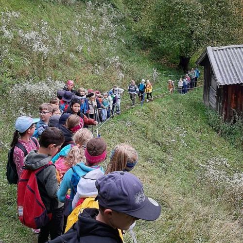 Kinder beim Wandertag Herbst 2025