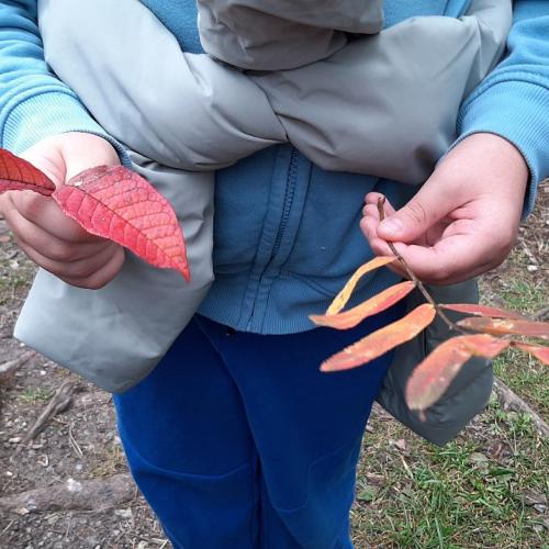 Kinder beim Wandertag Herbst 2025