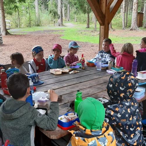 Kinder beim Wandertag Herbst 2025