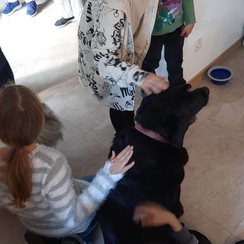 Besuch im WoPH Flirsch