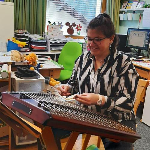 Instrumentenvorstellung