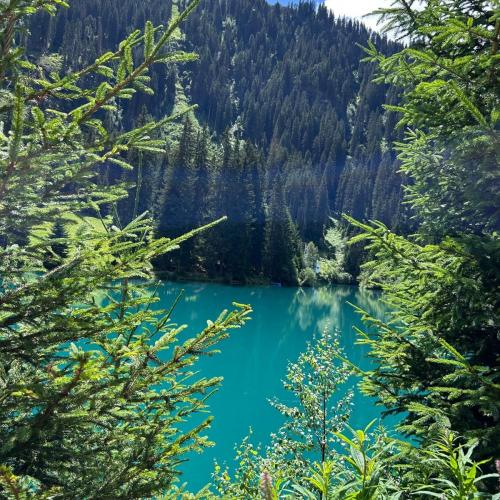 Wandertag