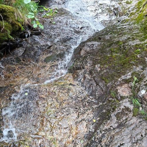 Wandertag