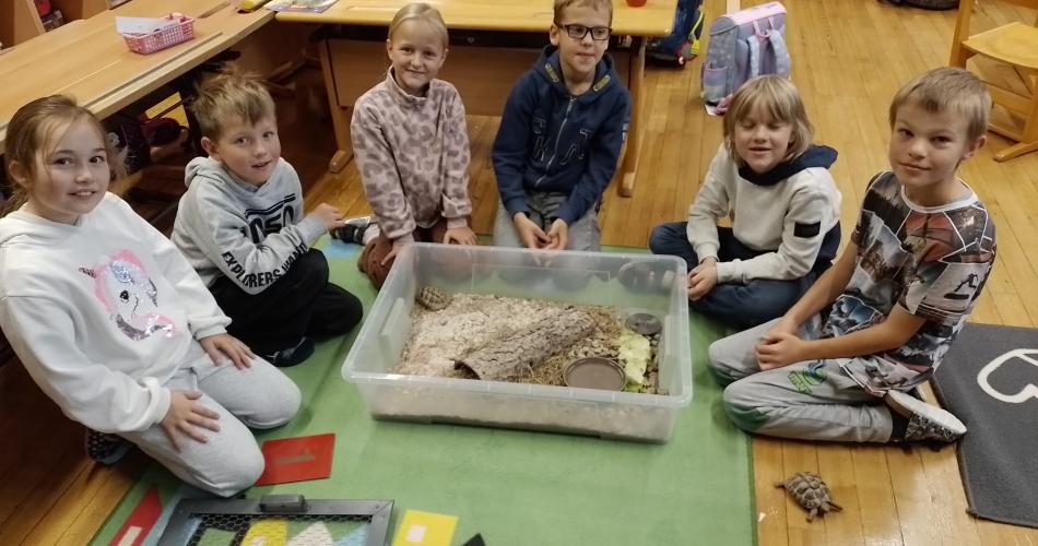 Welttierschutztag